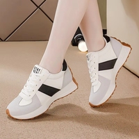 Chaussures de tennis grande taille pour femmes, nouveau design, baskets basses décontractées d'automne, plates et respirantes, en stock pour femmes