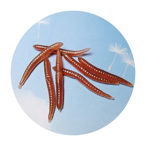 Ver de terre simulé colle molle ver de terre ver de nouilles rouge mouche accessoire artificiel <span class=keywords><strong>blague</strong></span> jouet jouets en gros pour blagues - Product Image 5