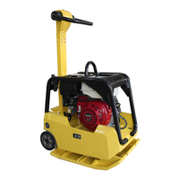 Compacteur de plaques réversible à essence avec embrayage manuel, compacteur vibrant pour la terre à vendre au meilleur prix / Compacteur à essence