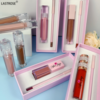 Prix d'usine Kit de brillant à lèvres et de crayon à lèvres végétaliens Brillant à lèvres de marque privée Kit de rouge à lèvres liquide mat