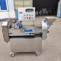 Fruit- en groentesnijmachine Commerciële groentesnijder Automatische snijmachine met grote capaciteit voor het snijden van blokjes en het versnipperen