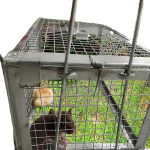 Souris/rongeur animal de compagnie sûr (chien/chat) meilleur piège à souris intérieur/extérieur non tueur petite taupe capture Cage - Product Image 1