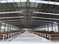 Estructura de acero prefabricada estilo granja moderna oveja cabra granja granero casa cobertizo de vacas lecheras y edificio de granja de ganado