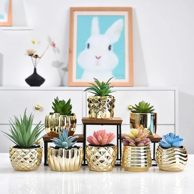 Petits Pots de fleurs d'intérieur en céramique or galvanisé pour plantes succulentes Cactus