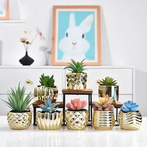 Maceta de cerámica pequeña de oro galvanizado para interiores, macetas para plantas de Cactus suculentas