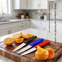 5Cr15 roestvrijstalen fruitmes van 3,5 inch met PP-handvat, schilmes in rood/blauw/zwart, multifunctioneel mes voor babyvoeding