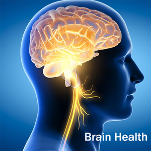 Добавка для здоровья мозга, 99% CDP, порошок холина, Цитиколина натрия - Product Image 6