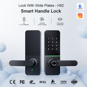 Liliwise 智能锁黑色 Serratura Per Porta Rfid Deadbolt 智能门锁 Tuya 指纹智能 Zamek 数字锁 - Product Image 2