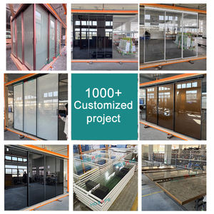 Автоматическая раздвижная стеклянная дверь для офисных зданий, переговорных и приемных, со смарт-стеклом и функцией переключения режимов - Product Image 5