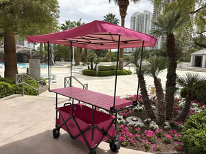 Chariot pliable à roues larges personnalisé pour l'extérieur, chariot de jardin, chariot de plage pliable pour le camping avec pare-soleil amovible - Product Image 3