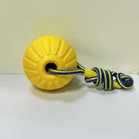LY Factory Wholesale Eco-Friendly Fashion Classic Cute Training Dog Chew Toy Interactive EVA Floating Foam Ball Bite Pull Ring