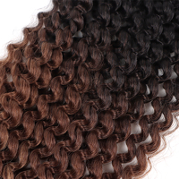 Orient Passion Twist Crochet Cheveux Passion Twist Crochet Tresses