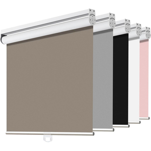 Home Blackout Polyester Blinds Curtain Manual Bead Rope <b>Shade</b> Cassette Roller Blinds Office Motorized Roller <b>Shades</b> for <b>Window</b> - Product Image 1
