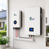 Batterie LiFePO4 murale intégrée avec BMS 51.2V 200Ah 10.24kWh IP21 6000 cycles Port de communication pour la sauvegarde solaire résidentielle
