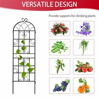Arche de jardin en fer forgé d'extérieur avec motif d'oiseaux et treillis pour plantes grimpantes pour l'aménagement paysager de jardin (lot de 2)