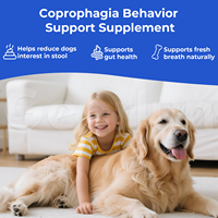 Vente en gros usine : Friandises probiotiques pour chiens, soutien de la santé intestinale et des enzymes digestives, suppléments de prébiotiques et de fibres pour animaux de compagnie (OEM)