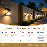 Lampe solaire de jardin LED IP65 à haute luminosité, à fixation murale extérieure avec détecteur de mouvement, fournisseur d'or de Shenzhen