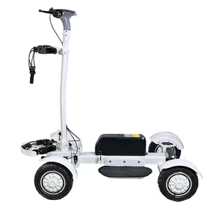 Eswing 2400W Aluminium Body Elektrische Golfscooter Opvouwbare Elektrische Golfkar Lithiumbatterij Elektrische Golfscooter