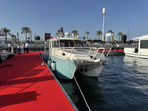 Catamaran familial de plaisance de <span class=keywords><strong>10</strong></span> mètres, bateaux en aluminium pour la pêche en haute mer, navire de loisirs, yacht en aluminium, <span class=keywords><strong>bateau</strong></span> de sport de plaisance - Product Image 6