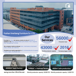 <span class=keywords><strong>2025</strong></span> chân không nén xương Sofa giường Trung Quốc Phật Sơn bọt nhà máy OEM ODM nhà sản xuất tải 264 cái nhung Teddy sofa - Product Image 5