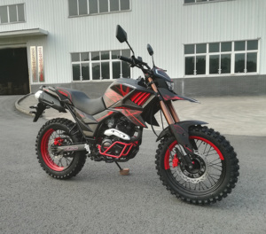 China 125cc 200cc <strong>250cc</strong> EEC <strong>Motorcycles</strong> FUEGO TEKKEN250 FUEGO <strong>Motorcycle</strong> Cheap for Sale 11190113 - Product Image 3