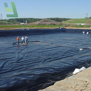 Géomembranes LLDPE/ LDPE/ HDPE de haute qualité utilisées pour le projet imperméable de piscine à poissons, la construction de routes, la décharge de déchets - Product Image 4