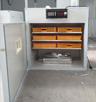 Incubateur d'œufs solaire automatique 528 œufs, double alimentation solaire et 220V, pour poulets, canards, cailles, oies, élevage de volailles