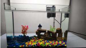 <span class=keywords><strong>Hot</strong></span> <span class=keywords><strong>selling</strong></span> Glas reptiel fokkerij kooien - Product Image 5