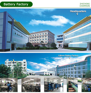 Batteria Champion Powerwall Lifepo4 10kWh 51.2V 100Ah Pacco Batteria al Litio per Energia Rinnovabile - Product Image 2