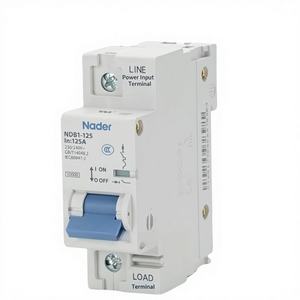 Interruptor Automático Miniatura Nader Shanghai <span class=keywords><strong>Liangxin</strong></span> NDB1-125, Interruptor de Aire de 2P de Bajo Voltaje, Protección Contra Cortocircuitos Domésticos de 3P - Product Image 1