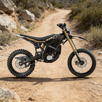OFFRE SUPER ÉCONOMIQUE 2026 24.5kW 95km/h Desert Mountain King Surron Ultra Bee pour adultes