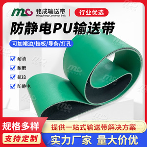 Bande transporteuse plate en PVC Mc Green 2,0 mm antistatique pour ligne d'assemblage - Product Image 3