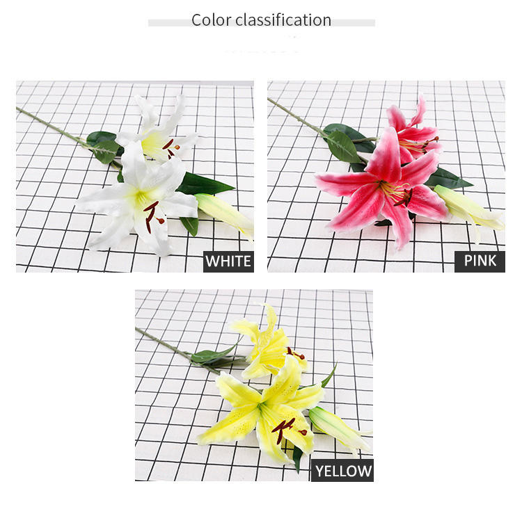 เลือกในภาพ