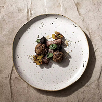 Plat à entrée plat en céramique nordique à pois fait à la main, plat à steak en porcelaine durable pour restaurant, vaisselle de qualité supérieure pour la maison
