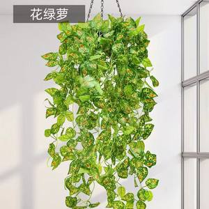 Décoration murale d'intérieur pour maison simulation rotin simulation feuille de pothos creeper vente en gros - Product Image 6