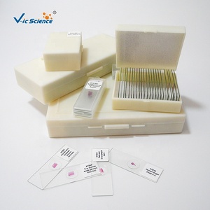 Lames de verre de laboratoire de <span class=keywords><strong>biologie</strong></span> Microscope à frottis de sang humain préparé <span class=keywords><strong>Biologie</strong></span> de l'oignon et diapositive d'enseignement des plantes animales Science médicale - Product Image 6