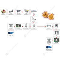 1~20 T/H Waterbesparende, energiezuinige, volautomatische industriële passievrucht productielijn sapmachine apparatuur