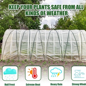 Película para Invernaderos y Polietileno para Invernaderos - Product Image 3