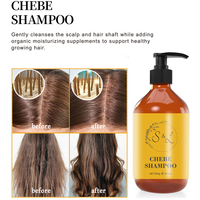 Ensemble de Soins Capillaires Personnalisés Marque Privée : Shampoing Chebe, Après-Shampoing, Masque Capillaire, Huile Capillaire, Beurre Capillaire et Huile de Croissance