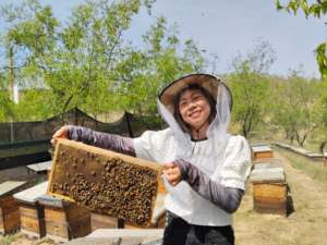 Miel de Flores Variadas de Alta Calidad al por Mayor de Fábrica BEESTAR, Producto Apícola Crudo, Venta a Granel, Miel Pura Natural de Múltiples Flores de China - Product Image 4