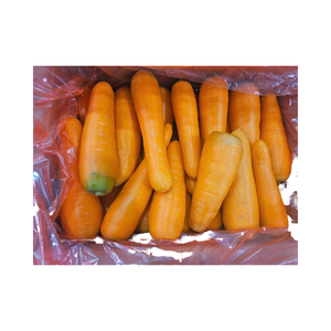 Venta al por mayor de zanahoria fresca orgánica de alta vitamina de Vietnam Color naranja tallas S/M/L 1-2 meses de vida útil para el mercado de alimentos y bebidas - Product Image 6