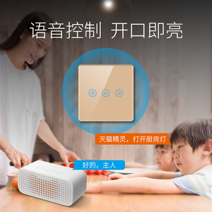 Huachao Smart <b>Switch</b> Champagne Gold <b>Touch</b> Panel Voice Control Tmall Genie Android 220V AC Remote Control <b>Switches</b> - Product Image 2