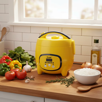 Oulik Vente en gros Usine Mini cuiseur à riz électrique portable en plastique avec tasse à mesurer, minuterie numérique et contrôle rapide pour usage domestique