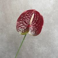 Vente en gros de fleurs artificielles en 3D Anthurium pour arrangements floraux de mariage, guide de chemin de fleurs artificielles pour la décoration de la maison, accessoires de fleurs