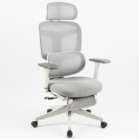 Chaise de bureau ergonomique pivotante en maille avec accoudoirs 3D et repose-pieds pour cadre dirigeant