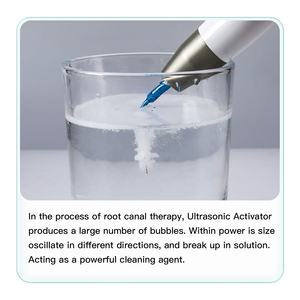 Prezzo a buon mercato Root Canal Sonic irrigatore dentale endodontico attivatore - Product Image 4