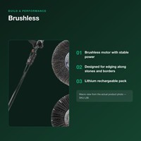 Débroussailleuse sans fil au lithium rechargeable pour le bordage des jardins et des allées en pierre