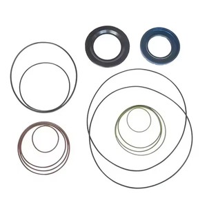 Kit de Reparación de Motor de Pistones Radiales Hidráulicos Poclain MS05 MSE08 de Alta Calidad, Nuevo, Piezas de Repuesto de Calidad en Venta - Product Image 2