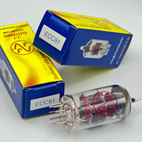 Elektronik ECC81 12AT7 Preamp Tüpü Slovakya Üretimi Çift Triyot Eşdeğeri 6201 İsteğe Bağlı Eşleştirilmiş Çift Vintage Ses Onarımı için