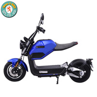 800W elektrik scooter Moto Électrique Miku Max (Euro 4)